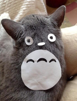 Illustration for article titled An Easy Way To Turn Your Cat into Totoro